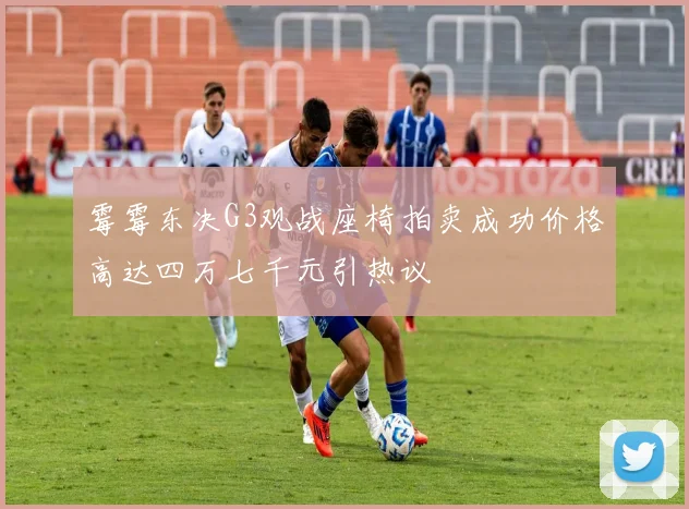 霉霉东决G3观战座椅拍卖成功价格高达四万七千元引热议