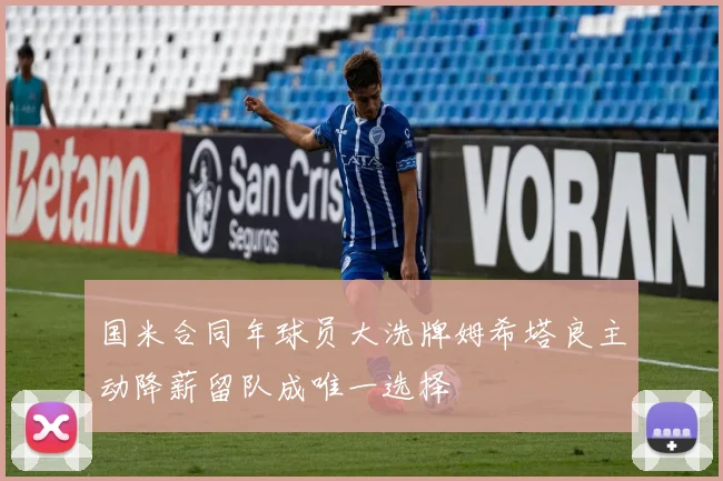 国米合同年球员大洗牌姆希塔良主动降薪留队成唯一选择