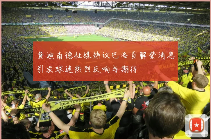 费迪南德社媒热议巴洛贡解禁消息引发球迷热烈反响与期待